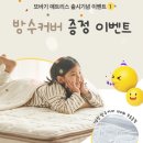 리안앤컴퍼니 | 레이디가구 신상 푸딩 데이베드 Q 사이즈 공홈 핫딜 구매 후기 가격(결제취소)