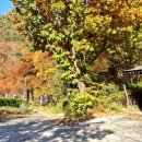 삼계리경로당 이미지