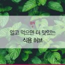 맛있는 허브