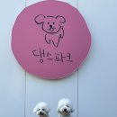 댕스피크닉 | 대전 대형 애견카페, 넓은 천연잔디 강아지 운동장과 수영장이 있는 '댕스파크'