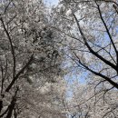 영원한 관계 14- | 너무 늦게 올리는 4월 일상 - 봄은 너무 짧아