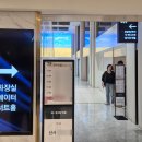 참 쉬운 디저트(6월) | W-1. 웨딩홀 투어 _ 리버사이드 호텔 웨딩 계약 후기(2027년 예식)