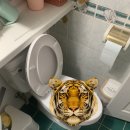 대림아파트(구포) 이미지