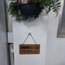 꼼지락장어 이미지
