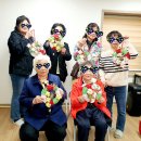 반려식물 원예아트 이미지