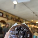 노스 벤쿠버 딥코브 등산 및 도넛맛집 Honey Doughnuts &amp; Goodies 방문 후기