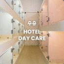 주흥15길 16-1 이미지