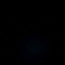 까미노데플로레스타1 이미지