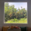 청춘부부 제주살이 07-08 :: 여행시작 #올레길 #송악산 #청보리 #<b>청춘</b><b>부부</b>