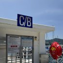 아그리나 D 이미지