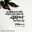 [NLT MDS 9-12-2] 요한복음 15장 12절 이미지