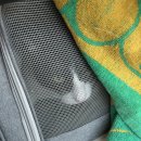 울산 강일웅고양이메디컬센터 이미지