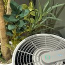 갤러리스크린골프 이미지