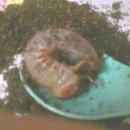 영주로1L 이미지