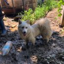 석지자원 이미지