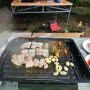 통나무민박 | 원주맛집 통나무집 - 서울근교 계곡식당 내돈내산 후기 (계곡에서 먹는 삼겹살)