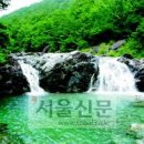 에버그린 여관 Daum카페