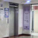 냥카페,루브 이미지