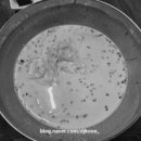 정아네김밥 이미지