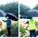 삼호리 이미지