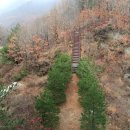 오마도터널 이미지