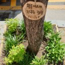 우리동네연구소 퍼즐협동조합 이미지