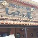 안심 2 사마경로당 | 오키나와 맛집 시마부타야 히레카츠 vs 로스카츠 돈카츠 후기