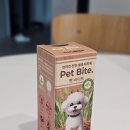 제인펫 | 강아지진드기퇴치제 추천, 롤온 타입 '오어스 펫바이트 강아지진드기기피제' 산책 필수 애견용품 솔직 후기