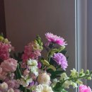 센텀카플렉스 이미지