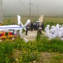 진도 만가 이미지