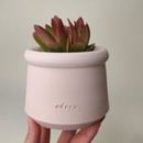 오도로화분