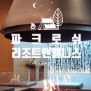 쉼앤뷰 | 강원도 정선 파크로쉬 리조트 앤 웰니스 기록 수영 요가 별보기 객실 후기