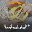 치발기 사용시기 손목 라라앤모어 내돈내산 한달 사용후기