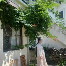 카페두가시 이미지