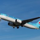 제주의 이유 이미지