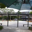 서룡초 놀이터 이미지