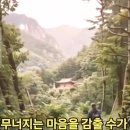 발원문 이미지