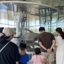 서율 모터스 이미지