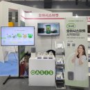 오아시스장 이미지