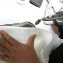 맵시세탁 이미지