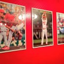 팬 모텔 이미지