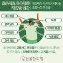 석한의원 네이버블로그