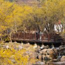 (유)동부렌터카 이미지