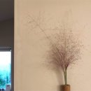 스테이3355 이미지