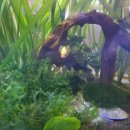 노블PC방 이미지