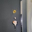 수원-1540 이미지