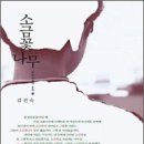소금꽃 이미지