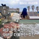 산호성 | 제주 우도 가성비 숙소 오션뷰 다올펜션 추천