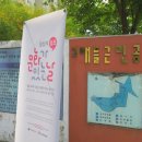 고래들공원 이미지