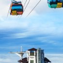 그린파크카 이미지